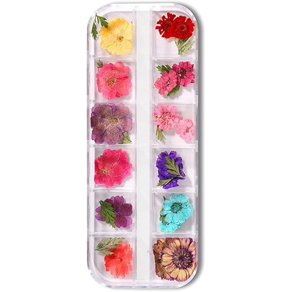 Appliques Ongles Fleurs Seches - ZJZS063